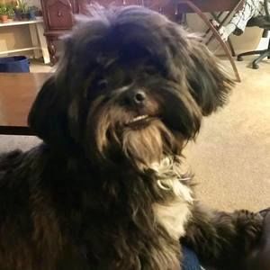 Meet your Posher, Lynn